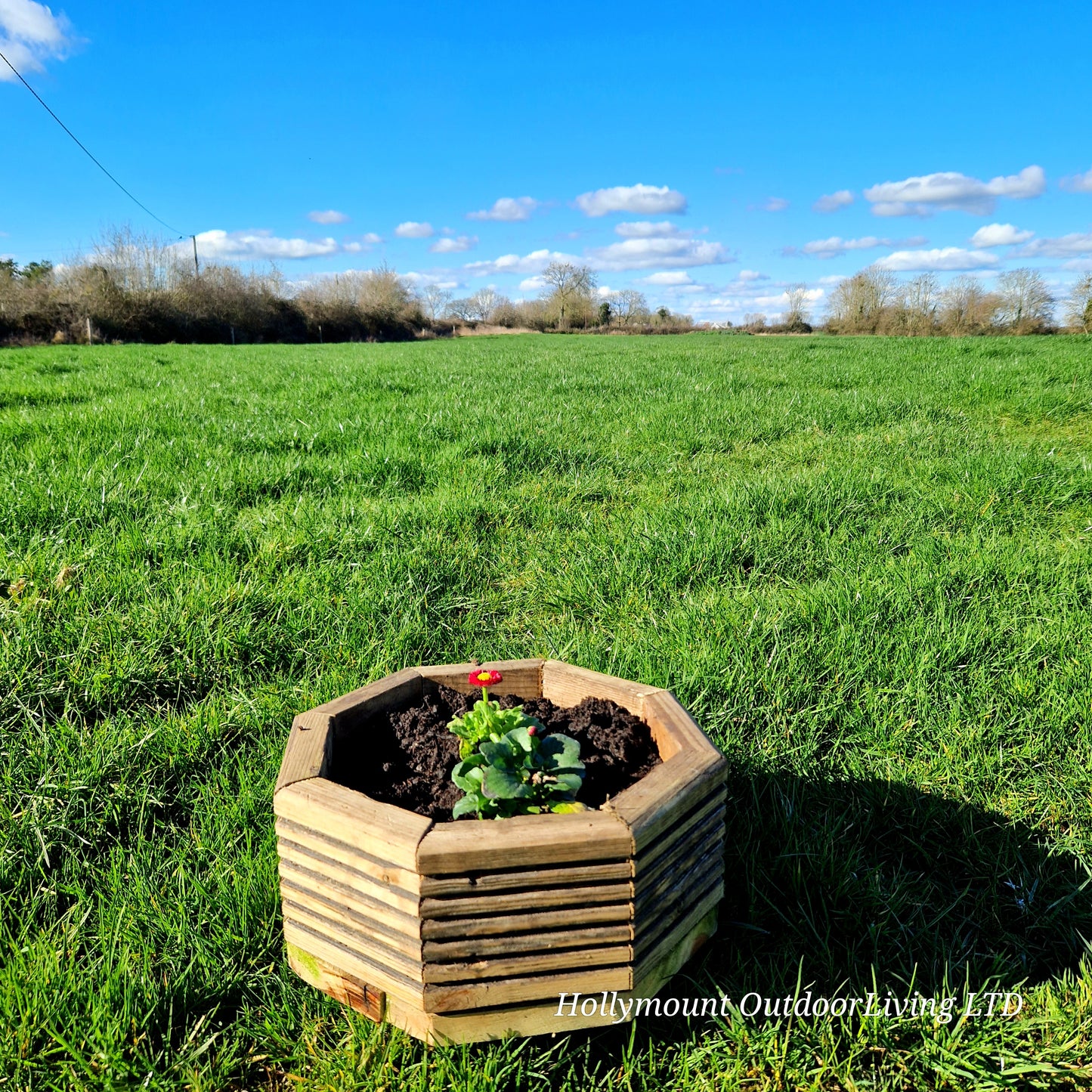 Hexagon Planter Boxes