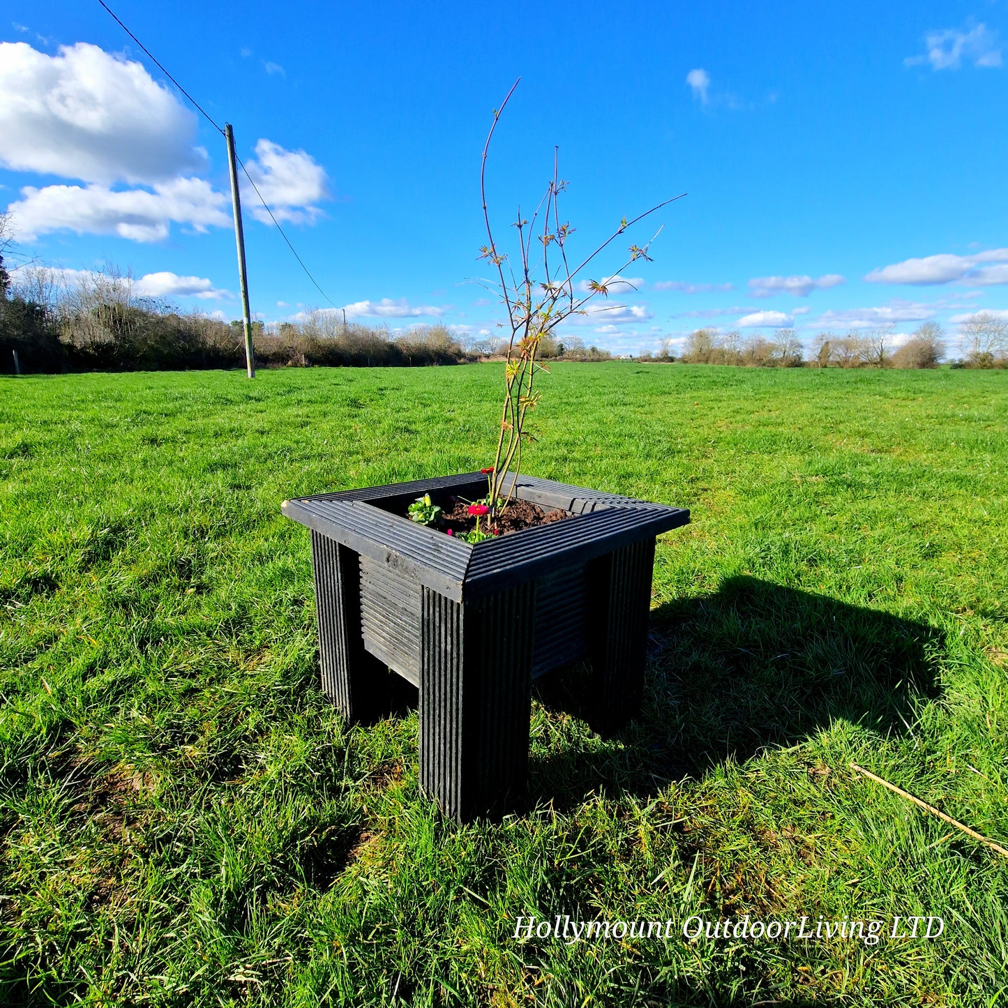 Square Planter Box