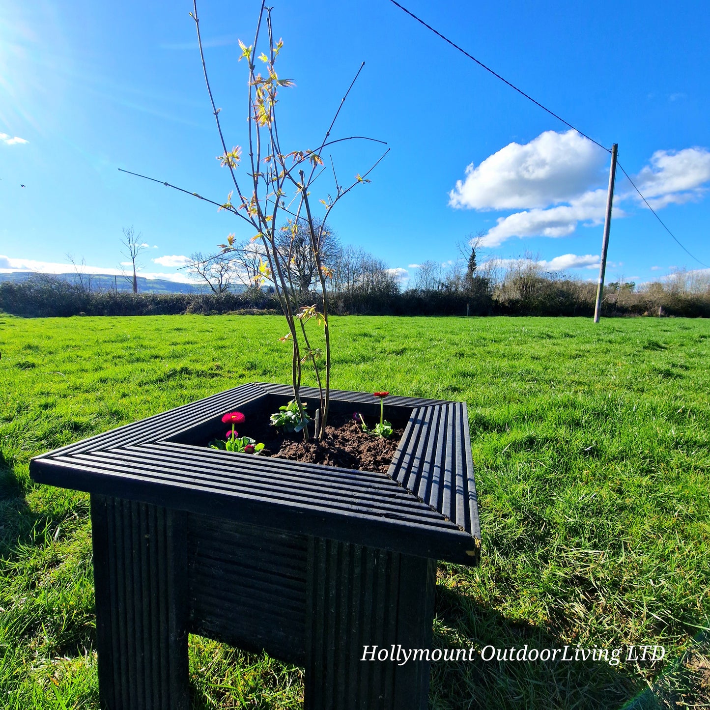 Square Planter Box
