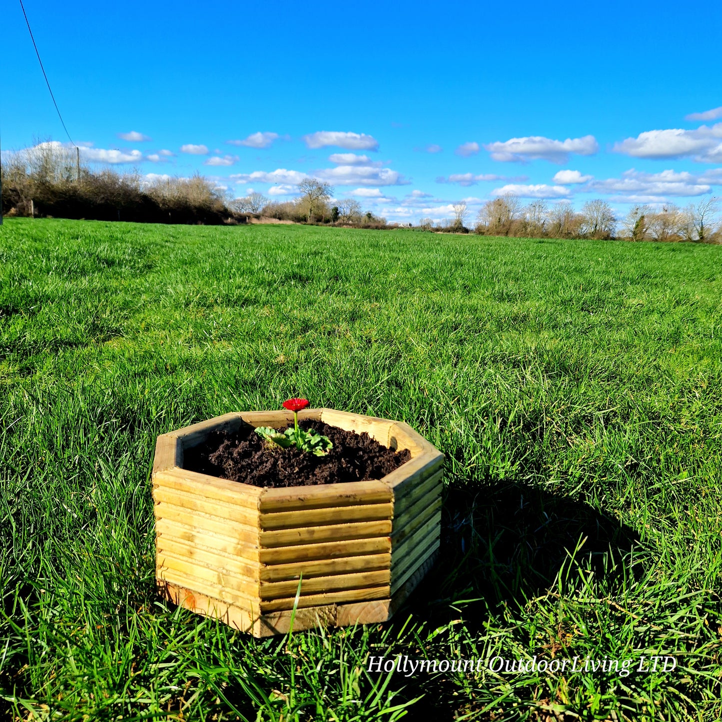 Hexagon Planter Boxes