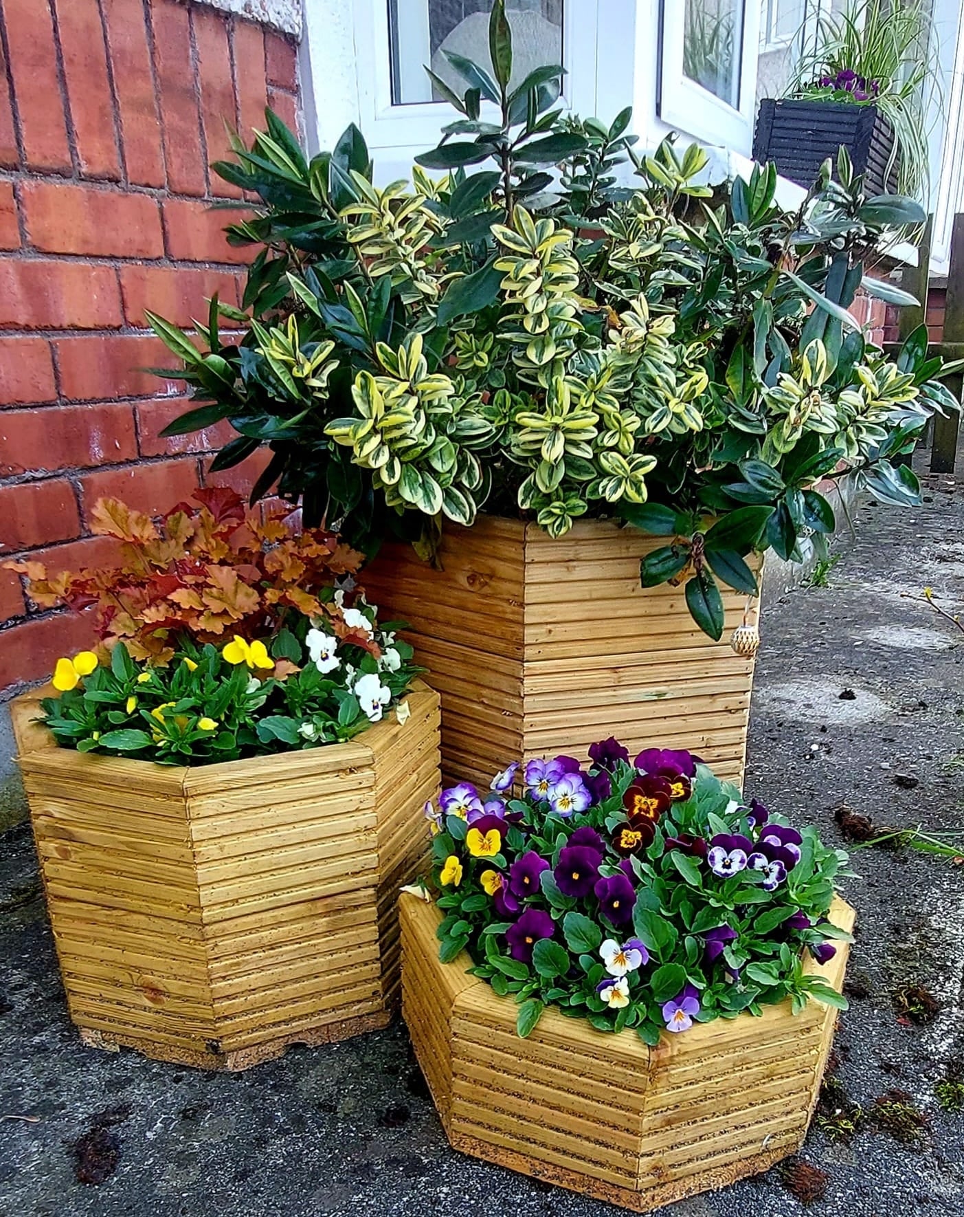 Hexagon Planter Boxes