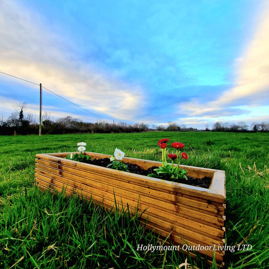 Window Box